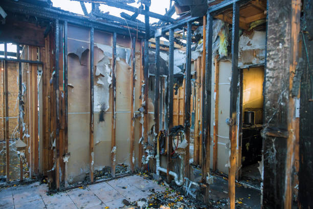 Professional Odor Removal technician working in Lafourche Crossing, LA